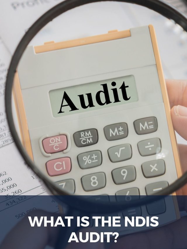 disability services Audit