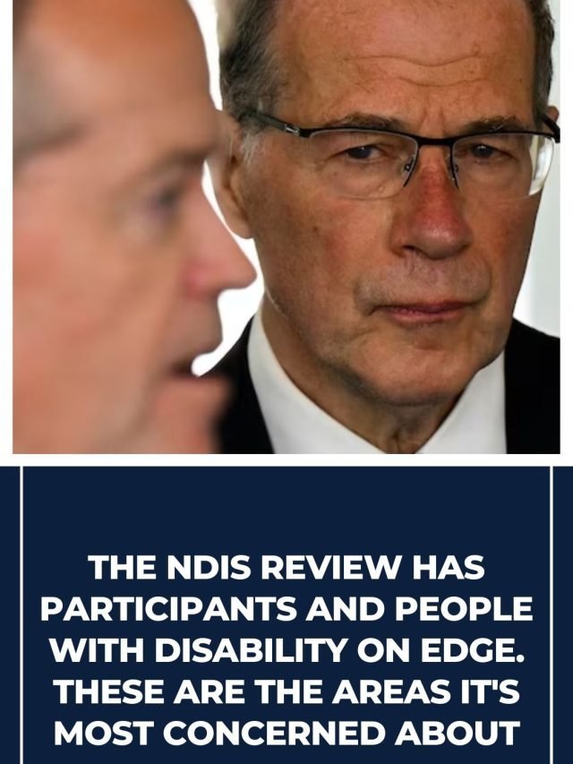 The disability services review participants and people 73