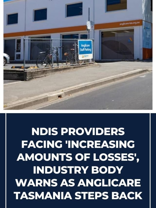 disability services providers facing 'increasing amounts of losses 102
