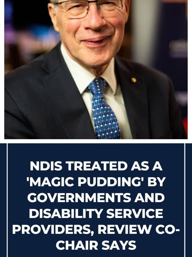 disability services treated as a 'Magic Pudding' by governments and disability service providers94
