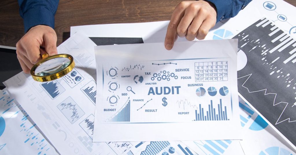 The Audit Process