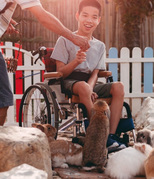 happy-disabled-child-sitting-on-wheel-chair-feedi-2023-11-27-04-52-37-utc